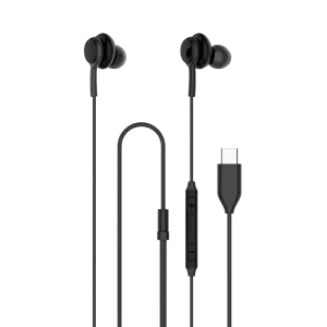 Platinum Type C Wired Metal Earphone