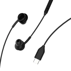 Platinum Type C Wired Metal Earphone